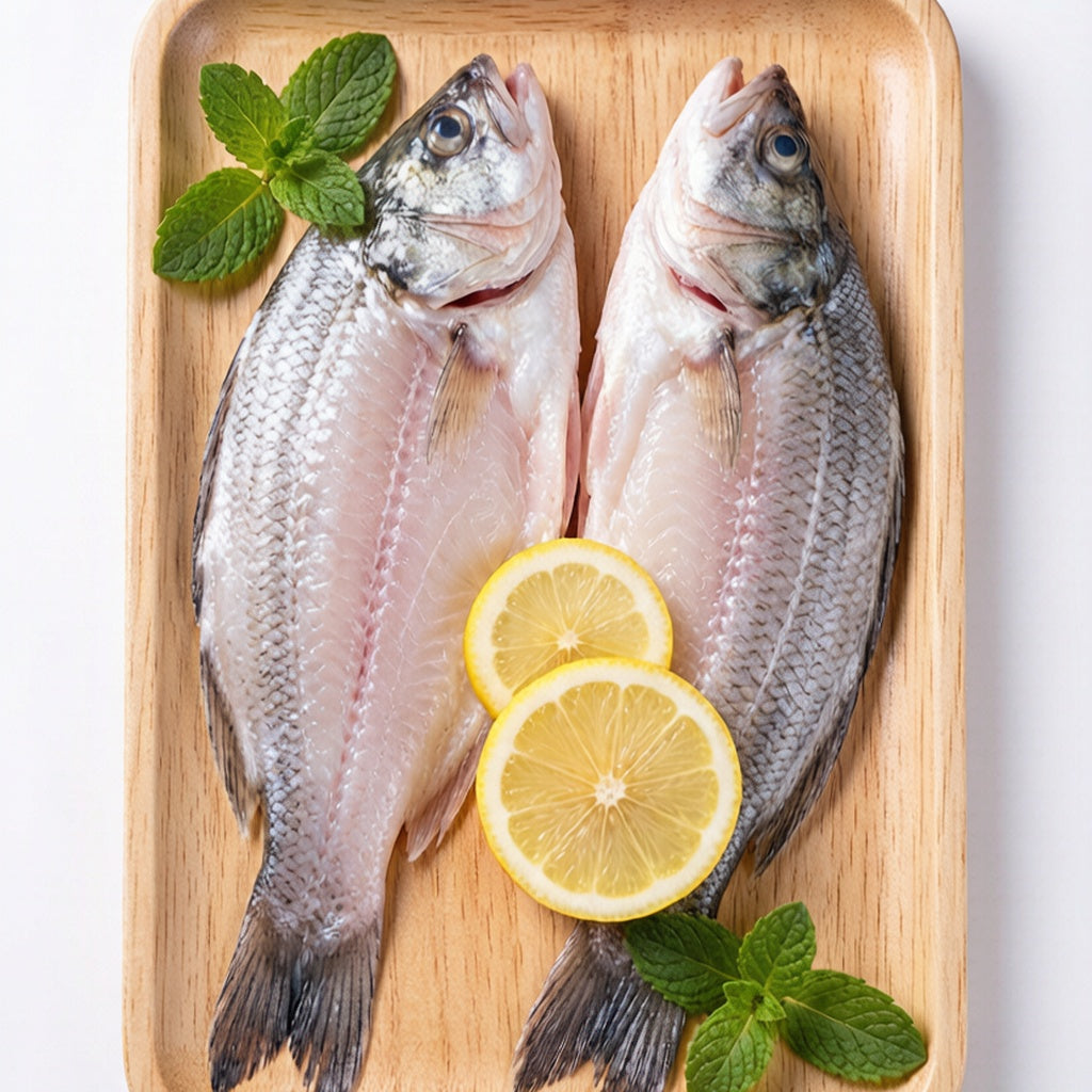 Sea Bass